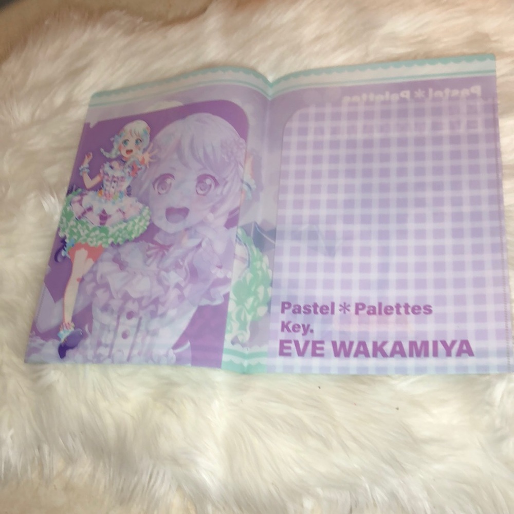 A folder - Picture 3 of 3